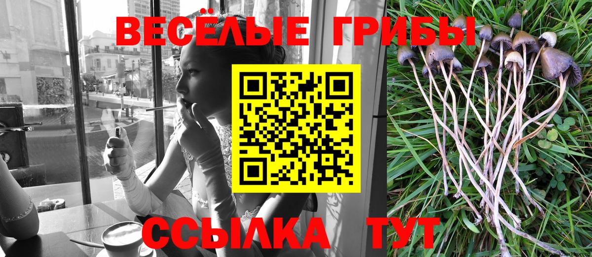 Галлюциногенные грибы мицелий  Вход с VPN  Сосновый Бор 